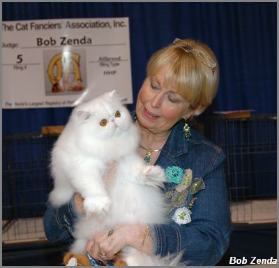 Best Cat1